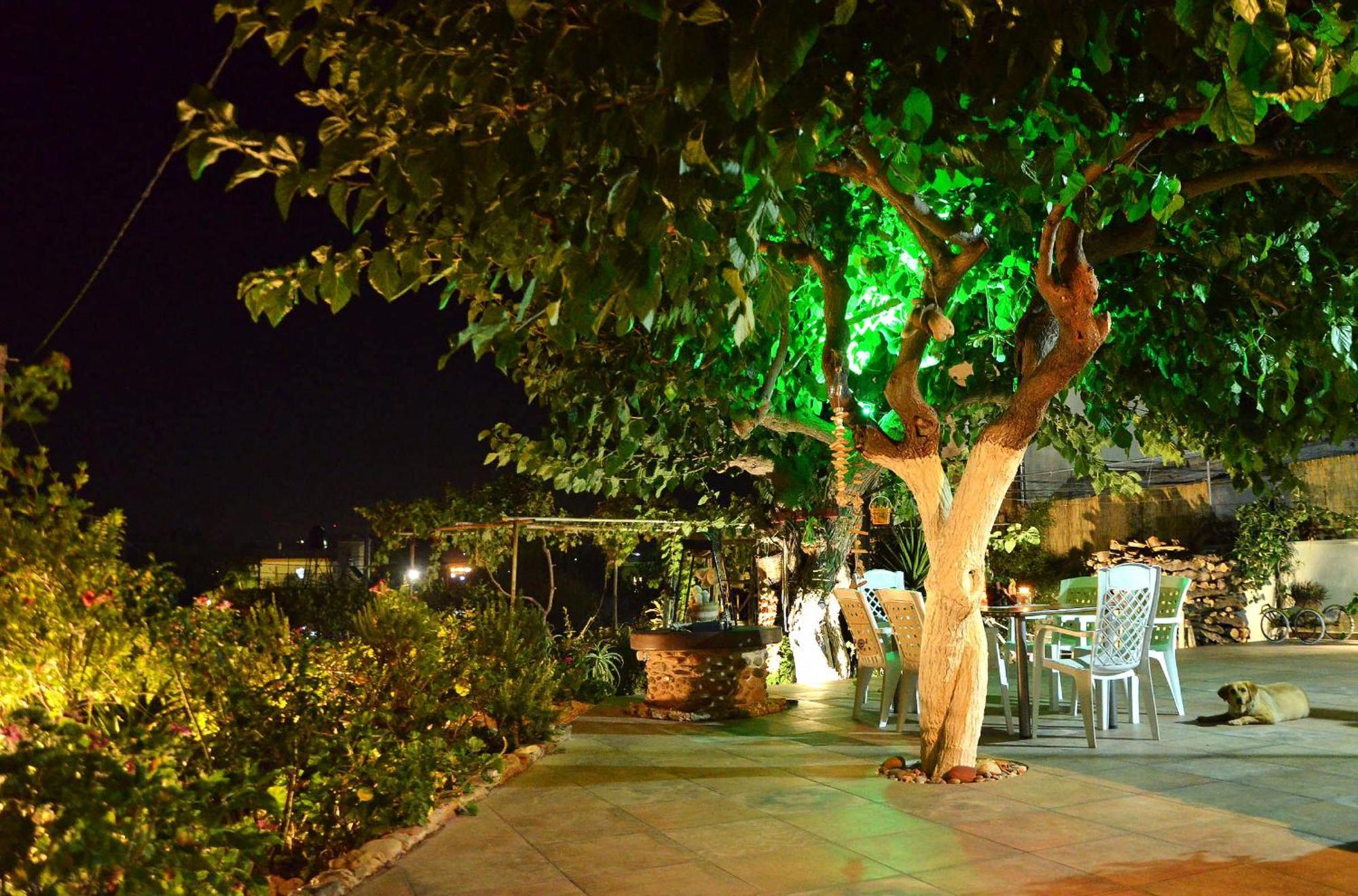 Kamara Stone House Villa Kissamos Bagian luar foto